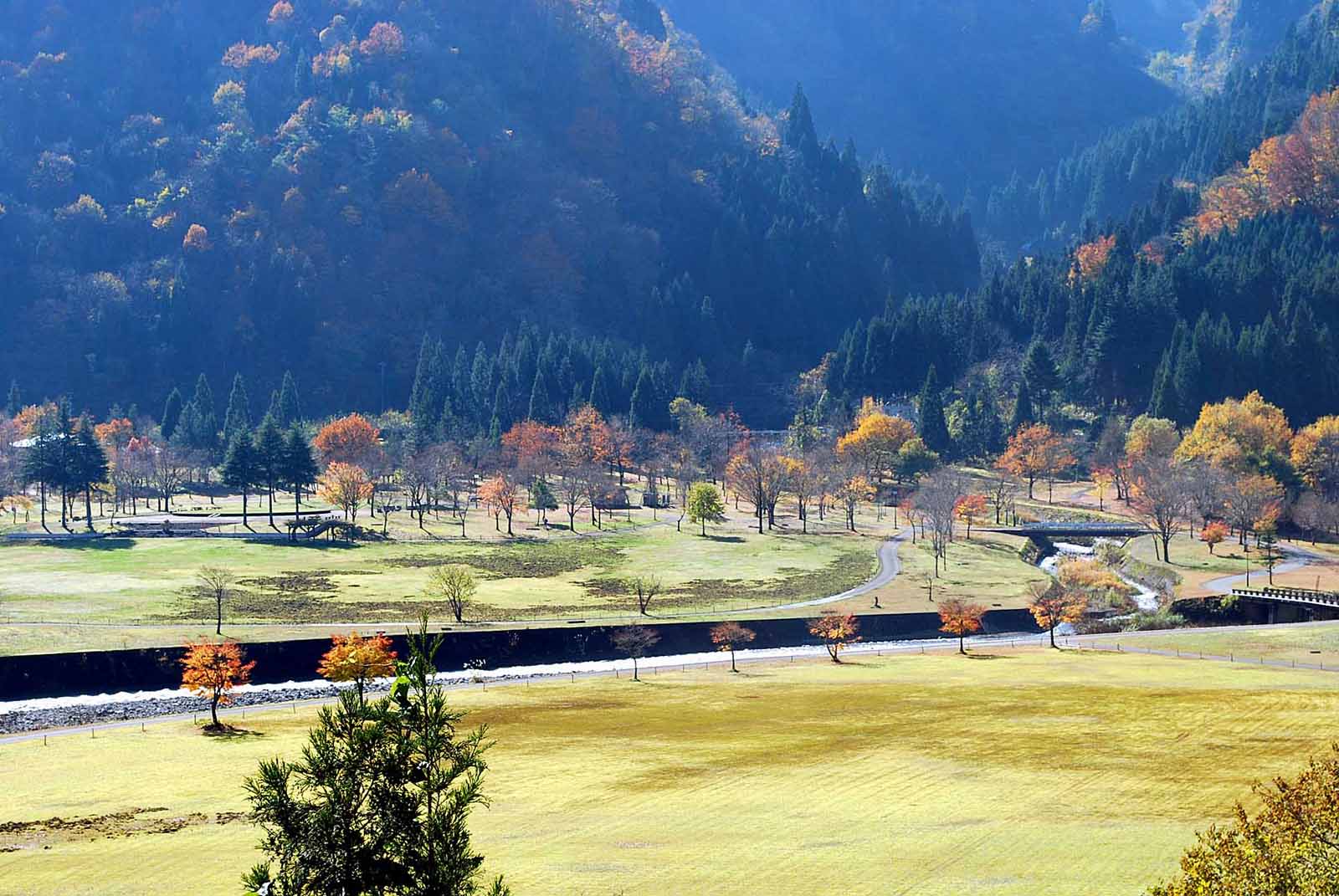 �������� �S�i