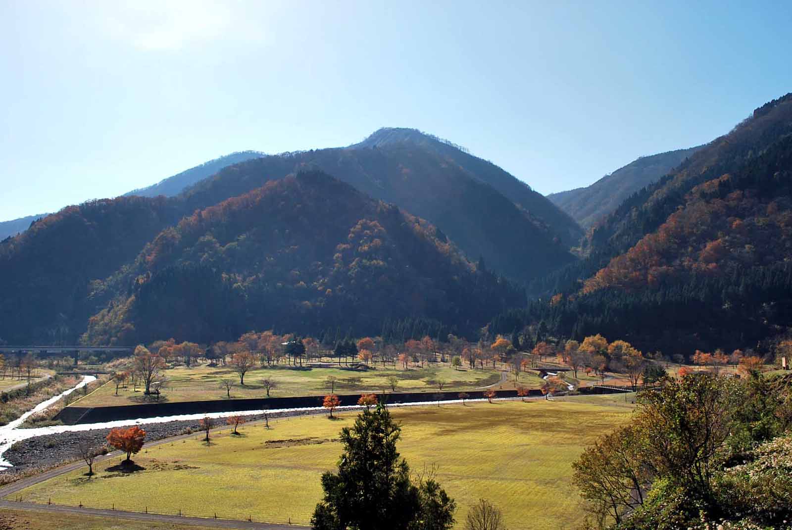 �������� �S�i