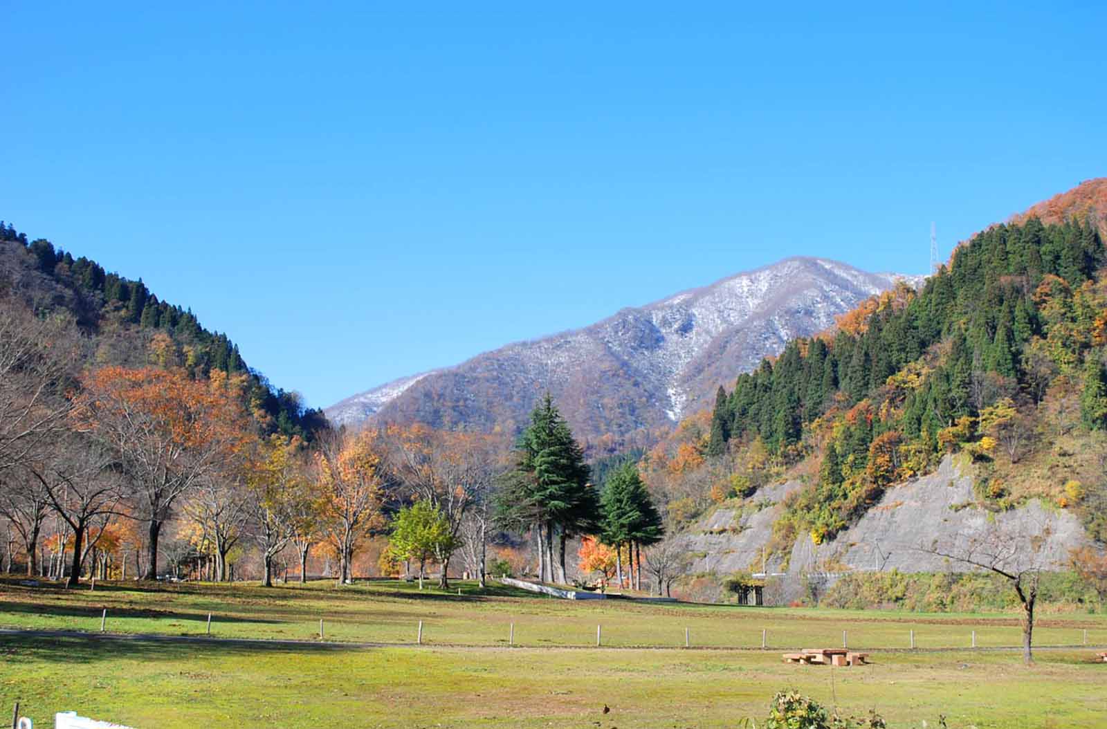 �������� �S�i