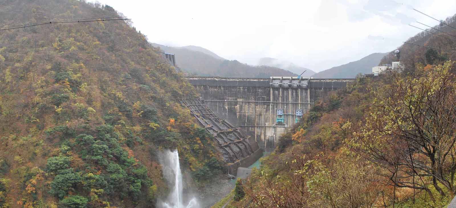 ��� �������