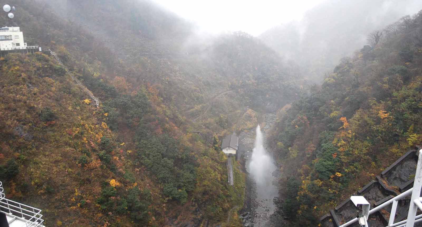 ��� ��������