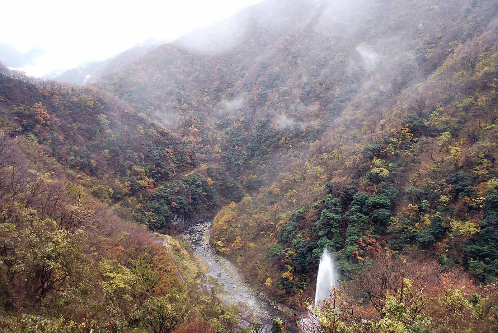 ��� ������