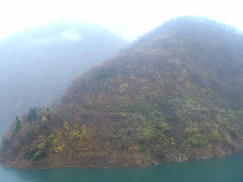 ���ߕP�Ώ㗬��