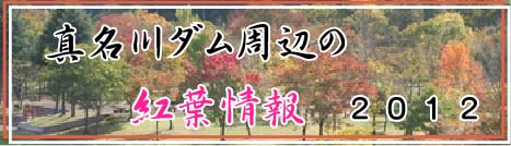 �Q�O�P�Q�N�g�t���i�^����_�����Ӂj