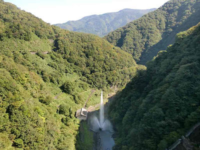 ��� ��������