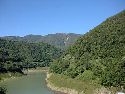 ���� ��������