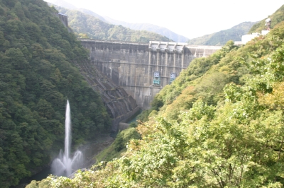 ��� �������