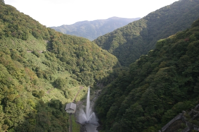 ��� ��������