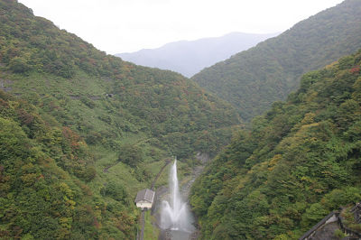 ��� ��������