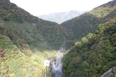 ��� ��������