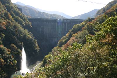 ��� �������