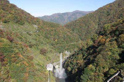 ��� ��������