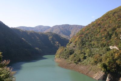 ���� ��������