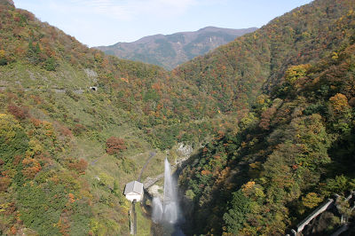 ��� ��������