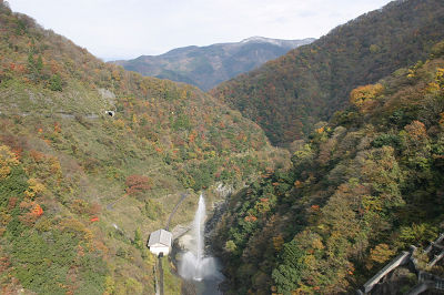 ��� ��������