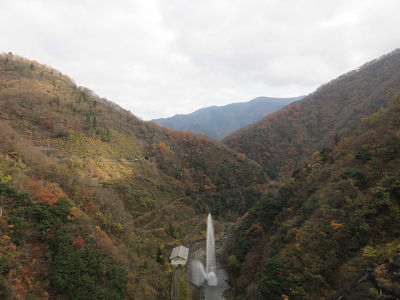 ��� ��������