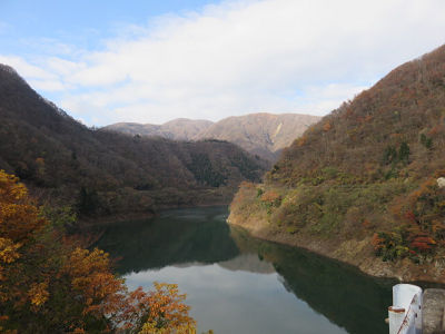 ���� ��������