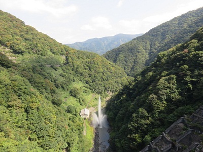 ��� ��������