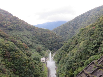 ��� ��������