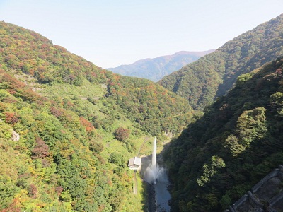 ��� ��������