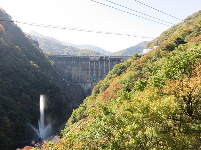 ��� �������