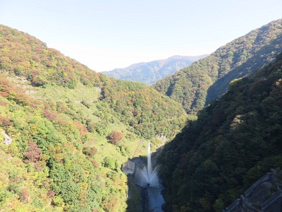 ��� ��������