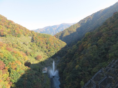 ��� ��������