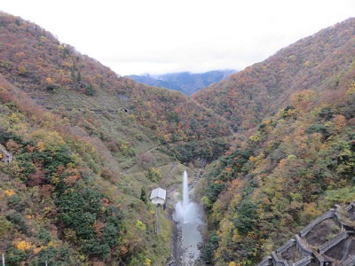 ��� ��������