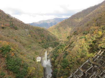 ��� ��������