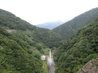 ��� ��������