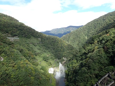 ��� ��������