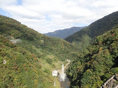 ��� ��������