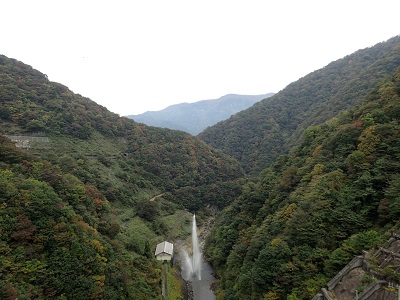 ��� ��������