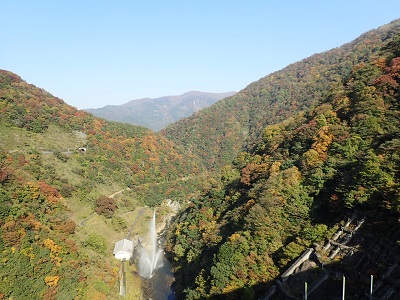 ��� ��������