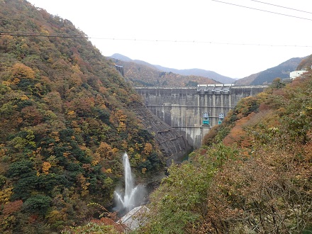 ��� �������