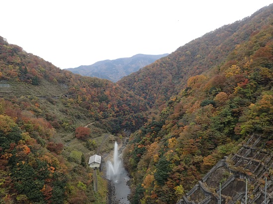 ��� ��������