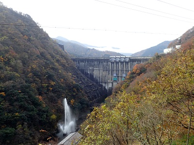 ��� �������