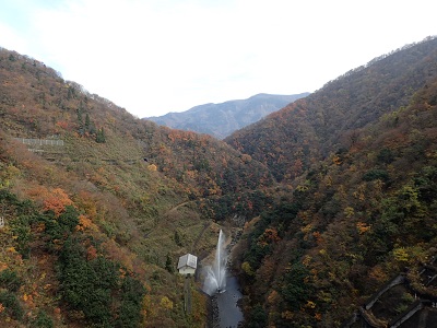 ��� ��������