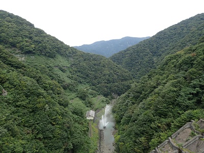 ��� ��������