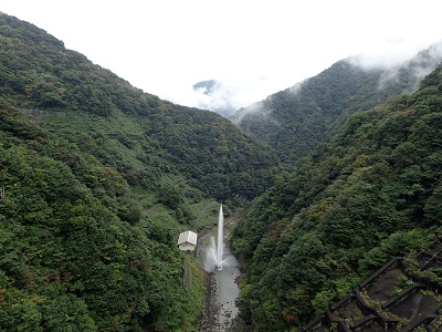 ��� ��������