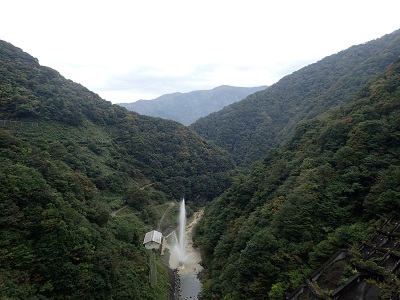 ��� ��������