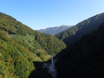 ��� ��������