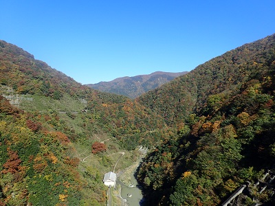 ��� ��������