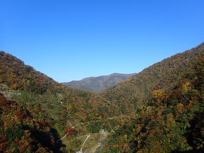 ��� ��������