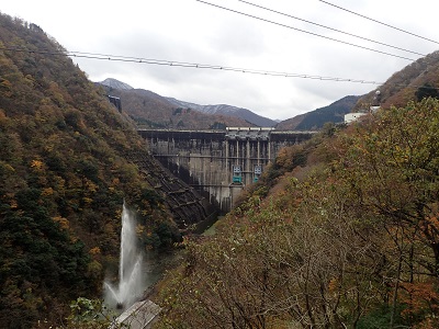 ��� �������