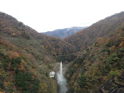 ��� ��������