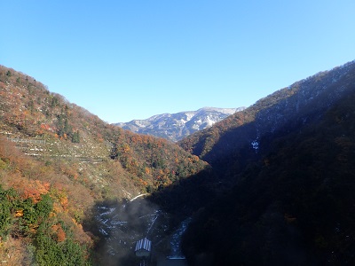 ��� ��������