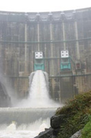 �������̃_��