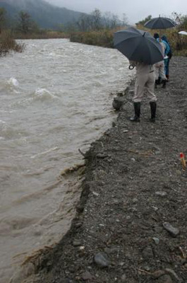 �P�O���S�O���@���������֗���Ă�����