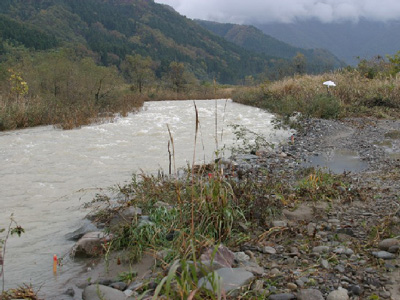 �P�T���R�O���@�t���b�V��������A�S�č��͉����֗��|